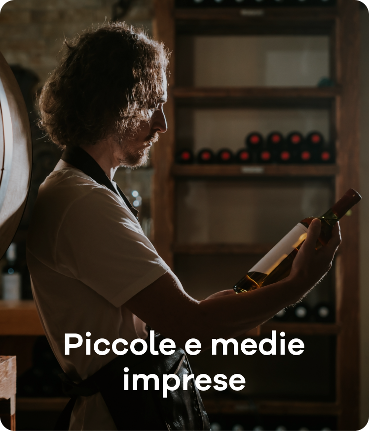 Piccole e medie imprese